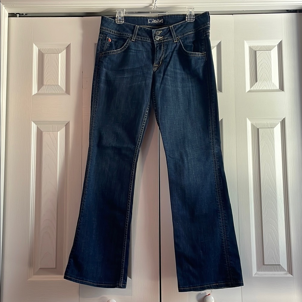 Hudson Women's Blue Jeans